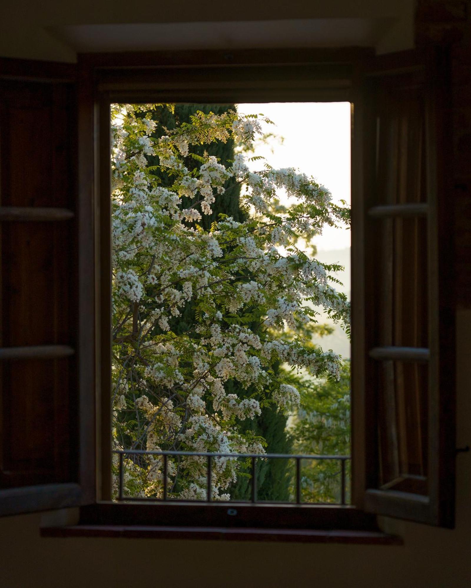Villa Cozzano Pozzuolo Chambre photo